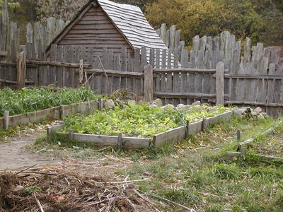 Garden (in late fall)