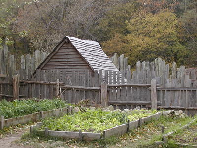 Garden (in late fall) #2