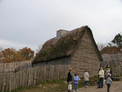 Thatched roof with moss #2