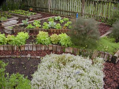 Gardens at Serenbe #4