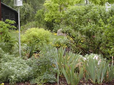 Gardens at Serenbe #5