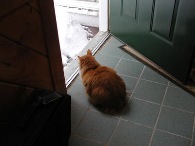 America contemplating whether to go out #3