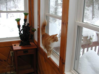 Yep, it is still winter out there