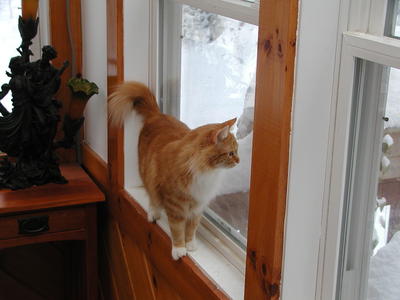 Yep, it is still winter out there #2