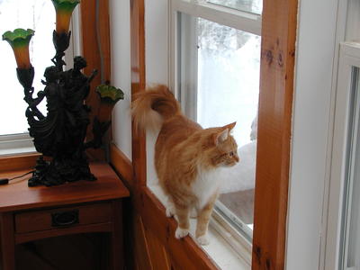 Yep, it is still winter out there #3