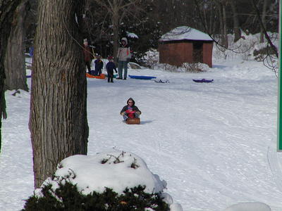 Sledding in Harvard, MA.