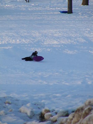 Sledding in Harvard, MA. #3