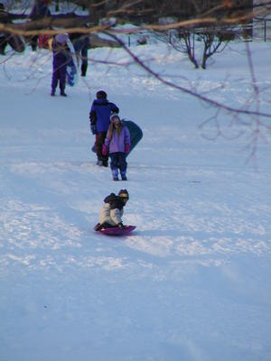 Sledding in Harvard, MA. #7