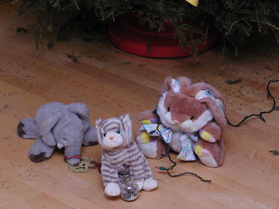 Everybody has to help taking the Christmas tree down