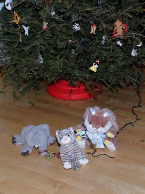 Everybody has to help taking the Christmas tree down #2