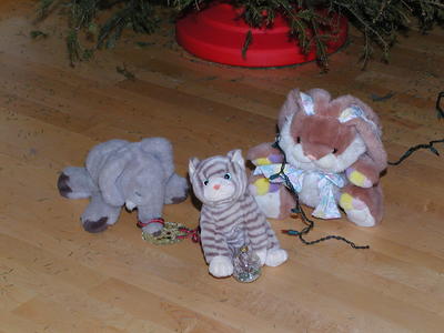 Everybody has to help taking the Christmas tree down #3