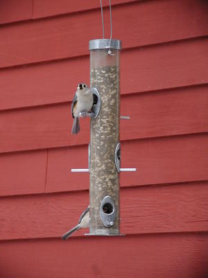 I'm looking at you #2