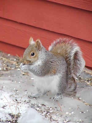 Mmmm, thanks for the leftovers