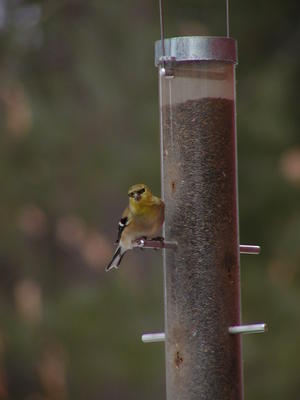 I'm looking at you #3