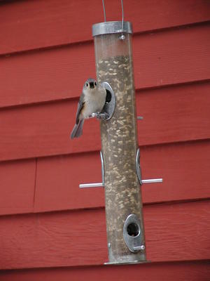 I'm looking at you #4