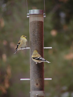 I'll pose for the photo