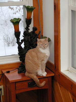 Oh ok, just one more picture....