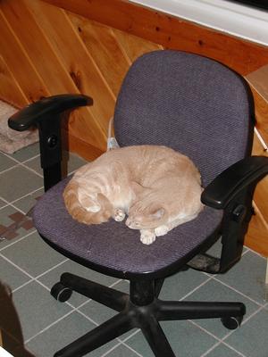 Hey, that's my chair!