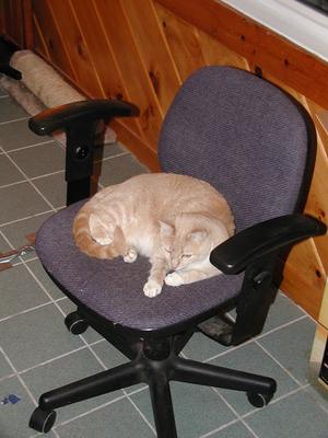 Hey, that's my chair! #2