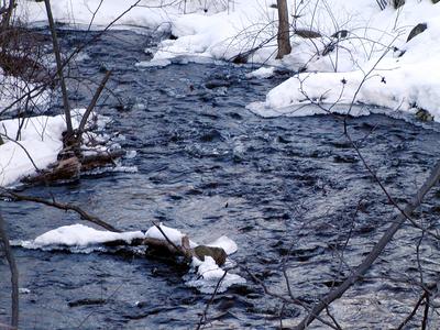Bennetts Brook in winter #3
