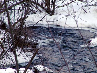 Bennetts Brook in winter #4