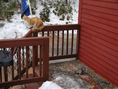 I think I'll just snooze a bit on guard duty