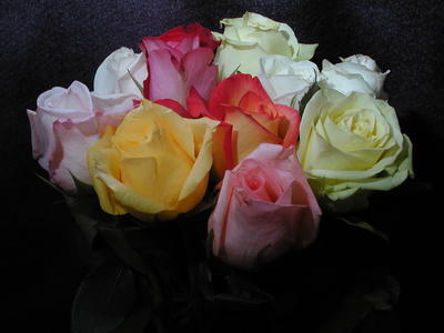 Roses