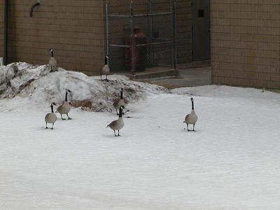 Lets play king of the mountain