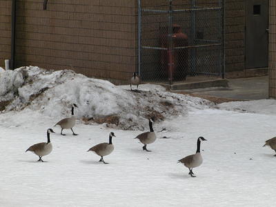 Hey, where are you going?