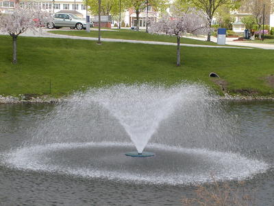 Water fountain