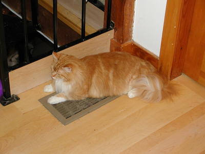 It is cooler to sit directly on the vent