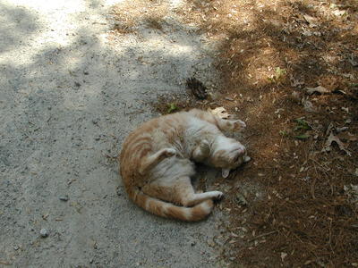 Ahhhh, that feels comfortable