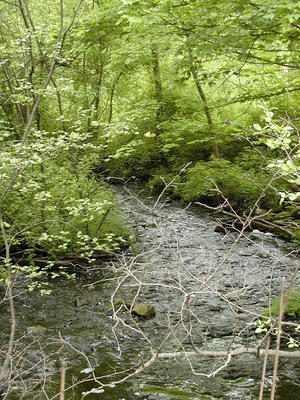 Bennetts Brook