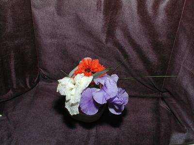 Patriotic flowers for flag day #2