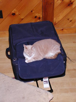 If I capture the suitcase, they can't leave #2