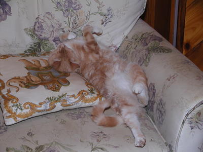 Let me get comfortable