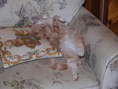 Let me get comfortable #2