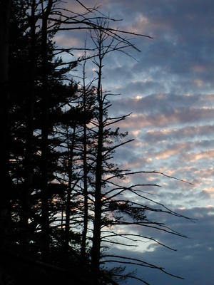 Sunset and clouds #8