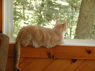 This is as close to outside as I prefer to go