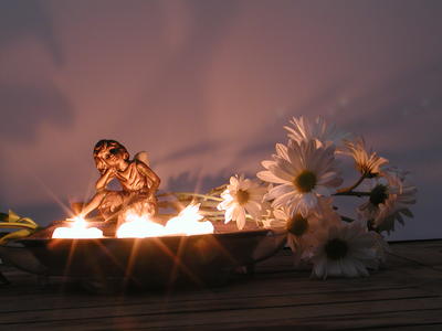 Fire fairy and flowers