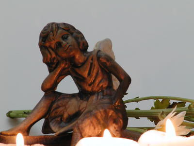 Fire fairy and flowers #3