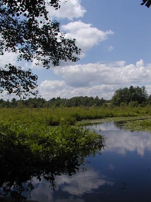 Clouds over Spectacle Pond #4
