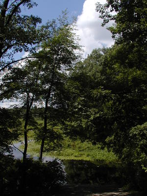 Clouds over Spectacle Pond #5