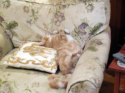 The king sleeps on his throne