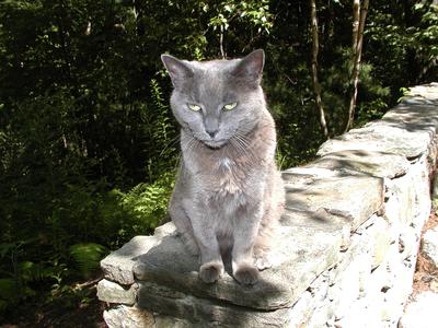 So, what have you done for me lately?