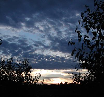 Sunset and clouds #7