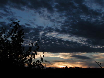 Sunset and clouds #8