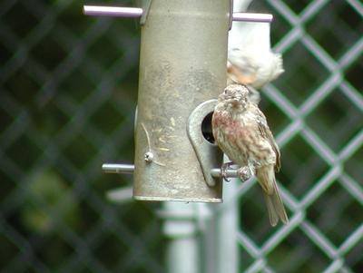 Why are you taking pictures?