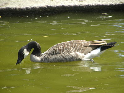 Hmmm, that looks yummy