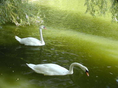 Hmmm that looks yummy